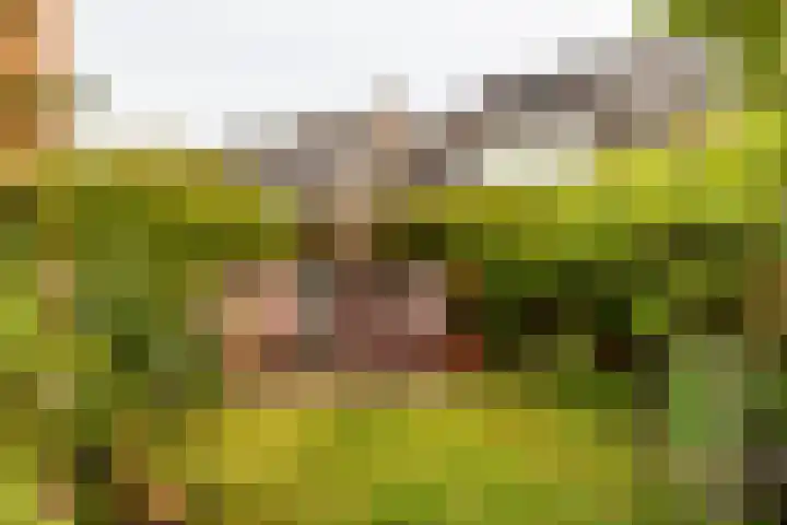 Hofstede 19 Bodegraven thumbnail 73