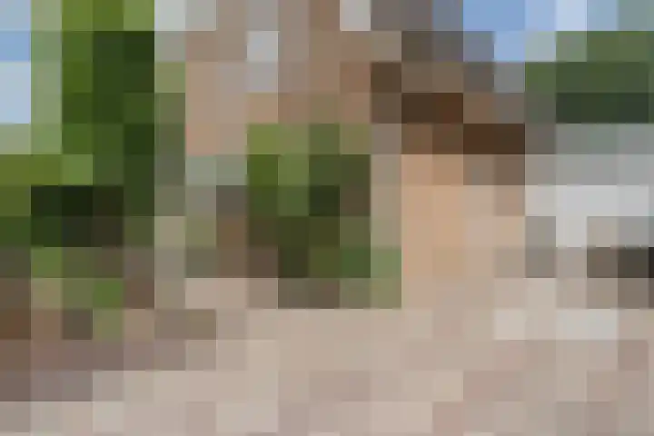 Hofstede 19 Bodegraven thumbnail 9