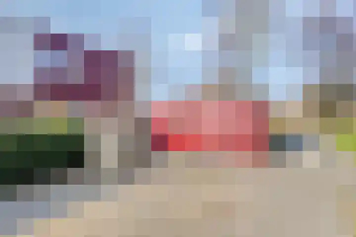 Hofstede 213 Lelystad thumbnail 4