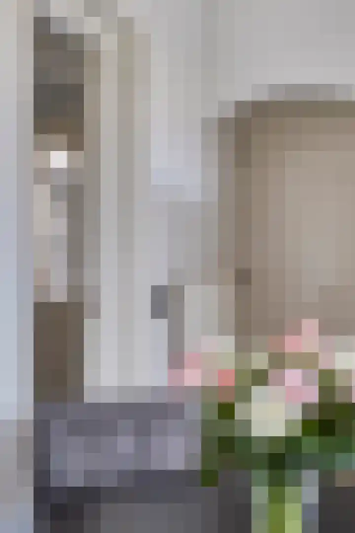 Hofstraat 2 Geldrop thumbnail 25