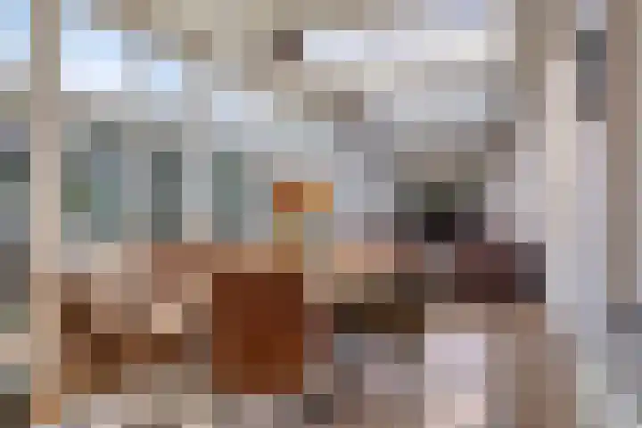 Hofstraat 2 Geldrop thumbnail 32