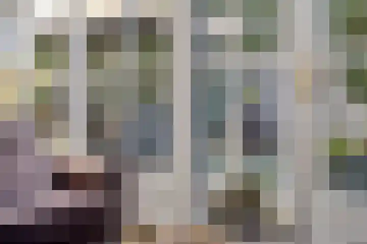 Hofstraat 2 Geldrop thumbnail 36
