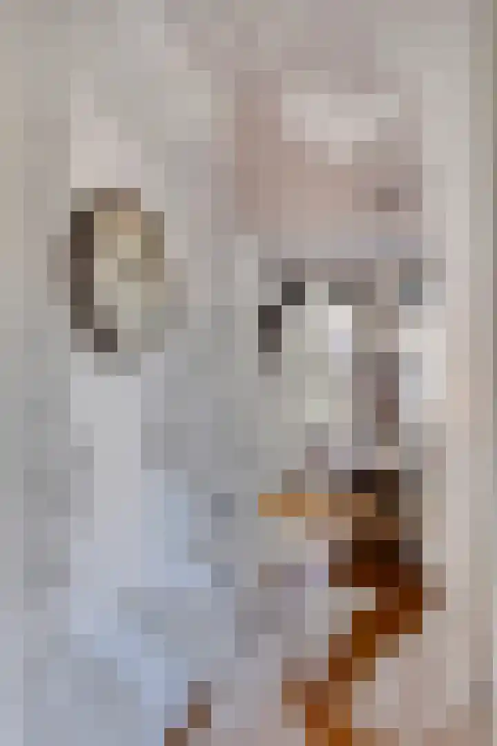 Hofstraat 2 Geldrop thumbnail 38