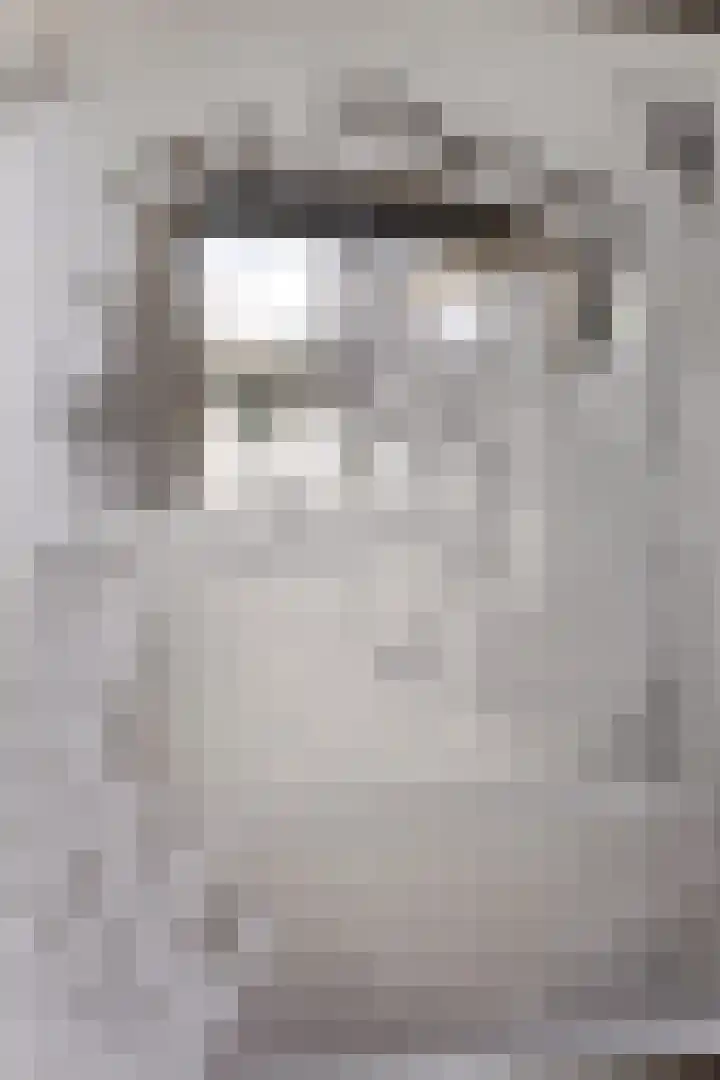 Hofstraat 2 Geldrop thumbnail 39