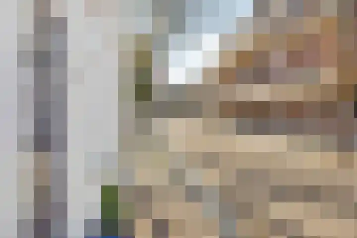 Hofstraat 2 Geldrop thumbnail 6