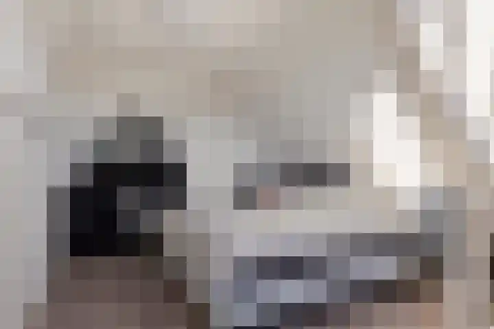 Hofstraat 2 Geldrop thumbnail 60