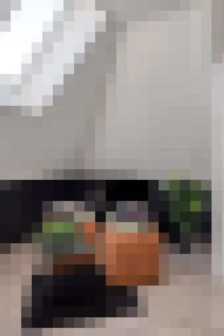 Hofstraat 2 Geldrop thumbnail 63