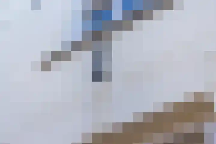 Hofstraat 2 Geldrop thumbnail 7