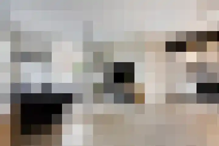 Hofstraat 2 Spijk thumbnail 18