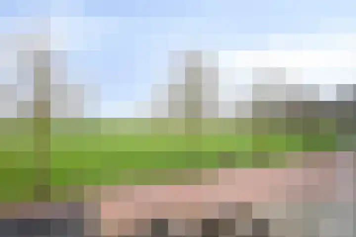 Hofstraat 2 Spijk thumbnail 43