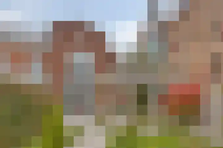 Hofstraat 3 's-Heerenberg thumbnail 36