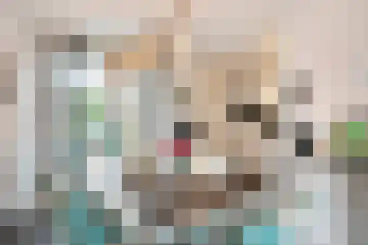 Hofstraat 8 Born thumbnail 15