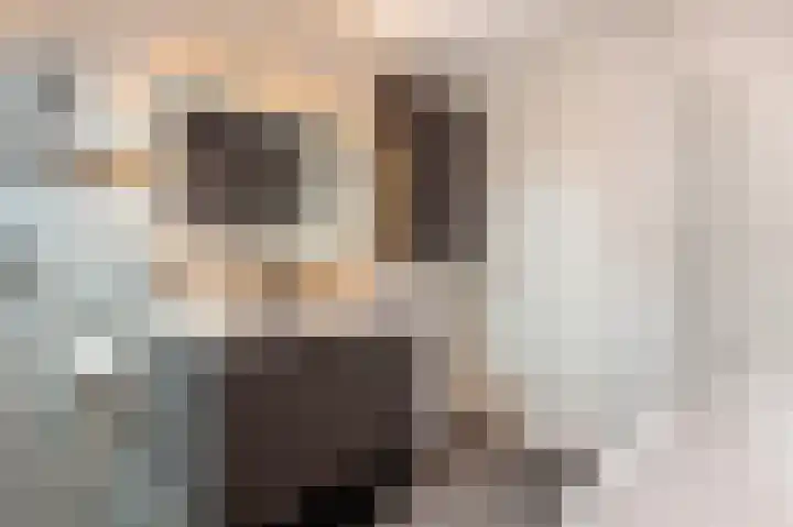 Hofstraat 8 Born thumbnail 29