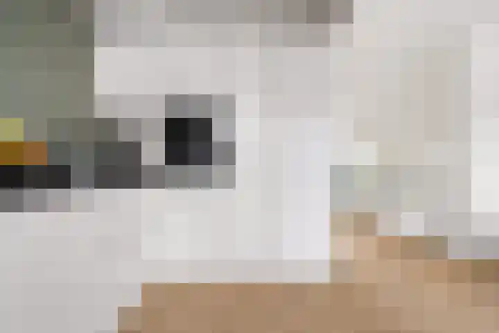 Hofstukken 320 Uden thumbnail 17