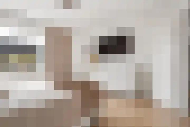 Hofstukken 320 Uden thumbnail 22