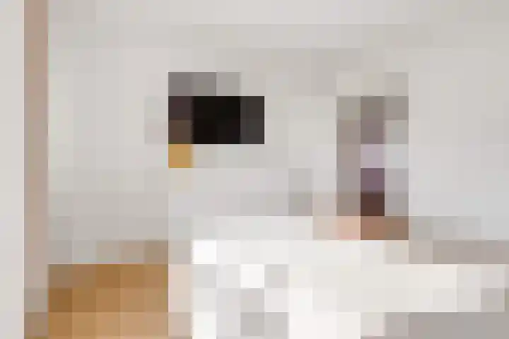 Hofstukken 320 Uden thumbnail 25