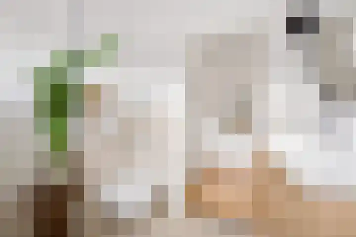 Hofstukken 320 Uden thumbnail 33