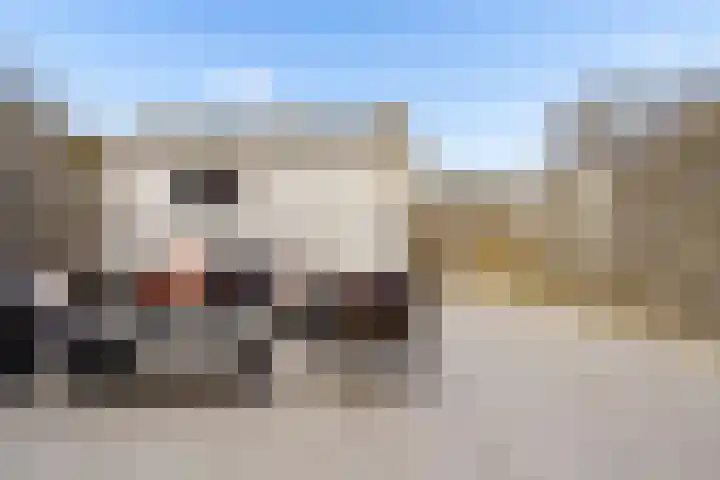 Hofstukken 320 Uden thumbnail 41