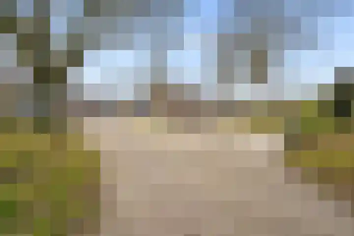 Hofstukken 320 Uden thumbnail 47