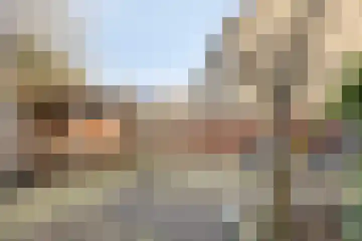 Hofstukken 724 Uden thumbnail 33