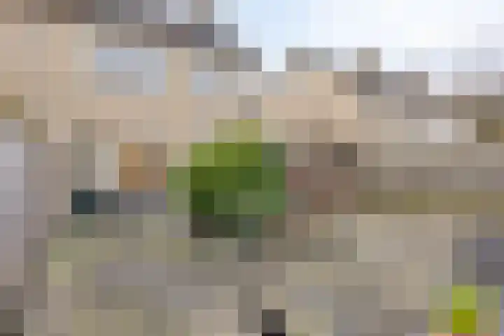 Hofstukken 724 Uden thumbnail 4