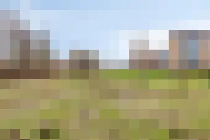 Hofvijver 104 Oss thumbnail 35