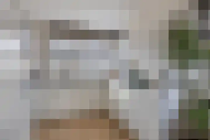 Hofvijver 104 Oss thumbnail 8