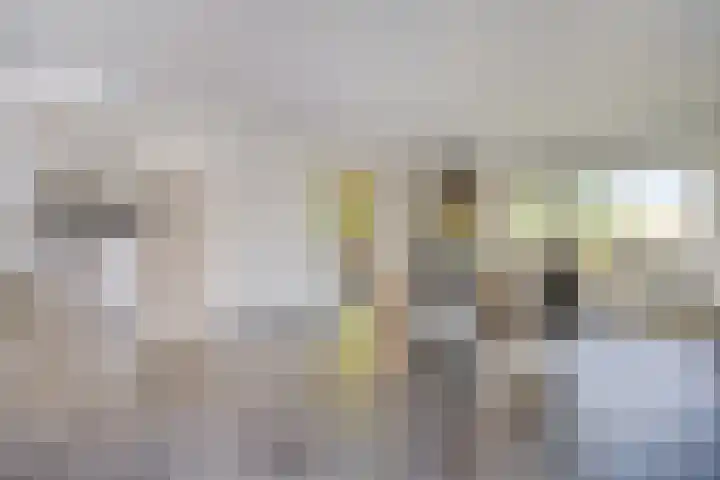 Hofweg 25 America thumbnail 10