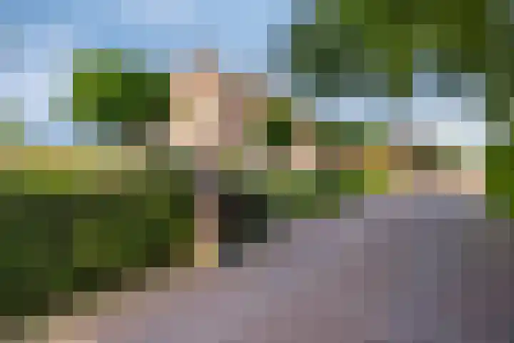 Hofweg 25 America thumbnail 4