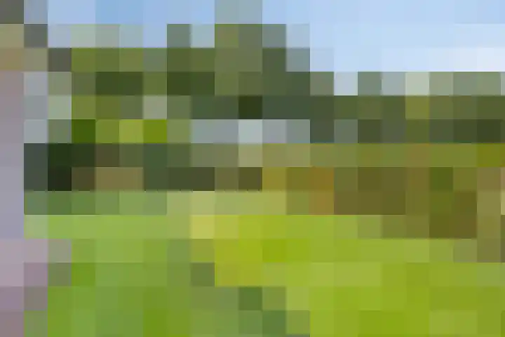 Hofweg 25 America thumbnail 42