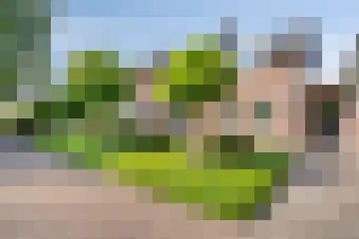 Hofweg 25 America thumbnail 47