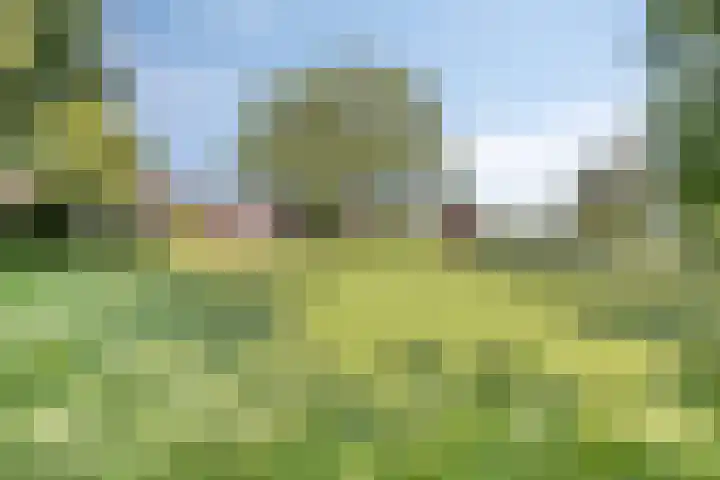 Hofweg 25 America thumbnail 50