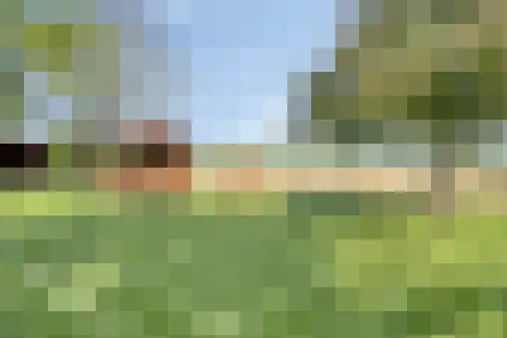 Hofweg 25 America thumbnail 51