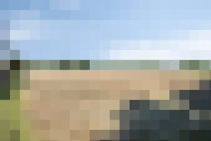 Hofweg 25 America thumbnail 53