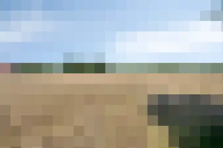 Hofweg 25 America thumbnail 55