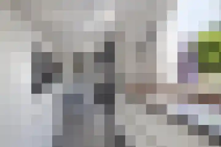 Hofweg 25 America thumbnail 7