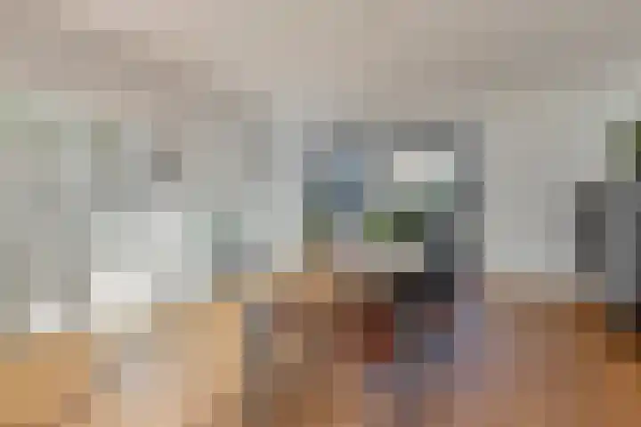 Hofzicht 16 Pijnacker thumbnail 13