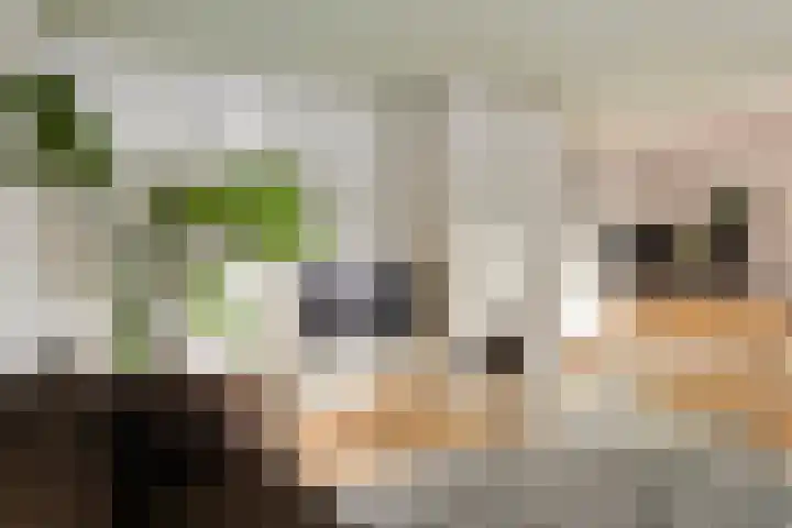 Hofzicht 16 Pijnacker thumbnail 17
