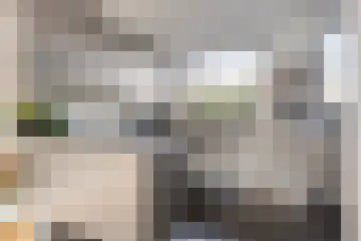 Hofzicht 16 Pijnacker thumbnail 4