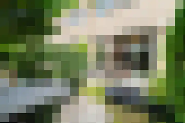 Hofzoom 36 Delft thumbnail 11