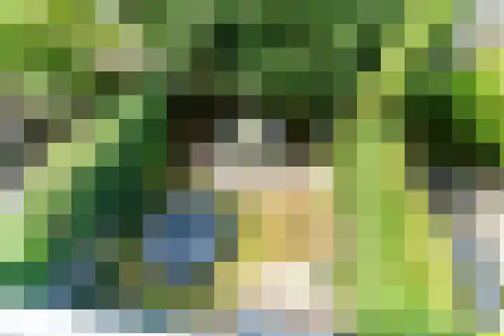 Hofzoom 36 Delft thumbnail 31