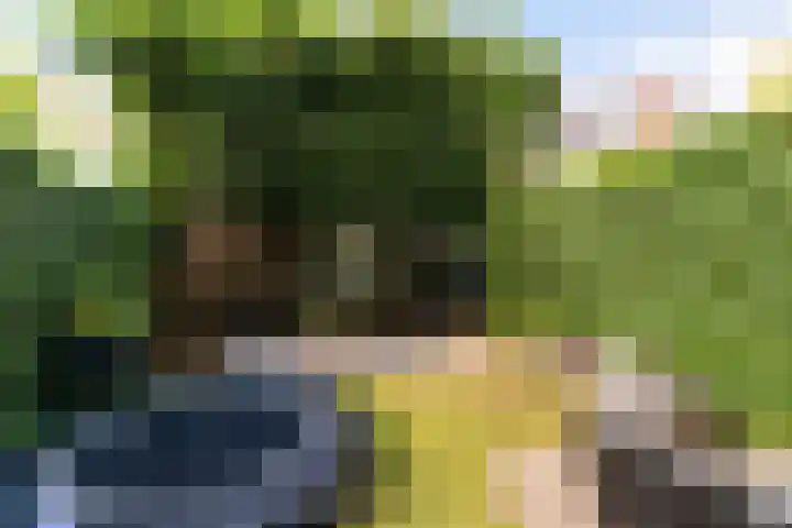Hofzoom 36 Delft thumbnail 9