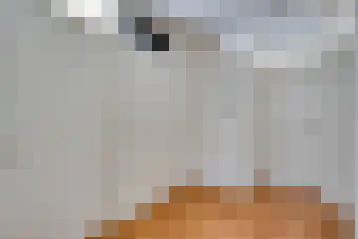 Hogaarde 2 Someren thumbnail 12