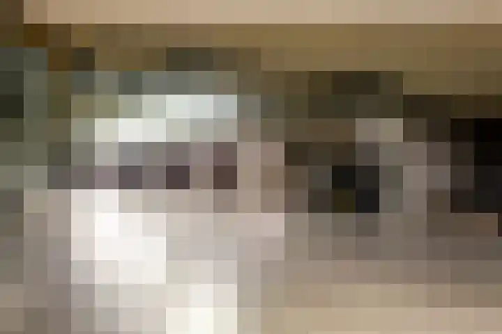 Hogaarde 2 Someren thumbnail 25