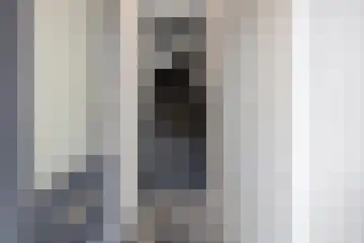 Hogaarde 2 Someren thumbnail 4