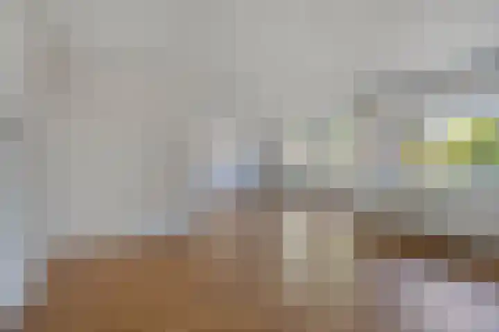 Hogaarde 2 Someren thumbnail 7