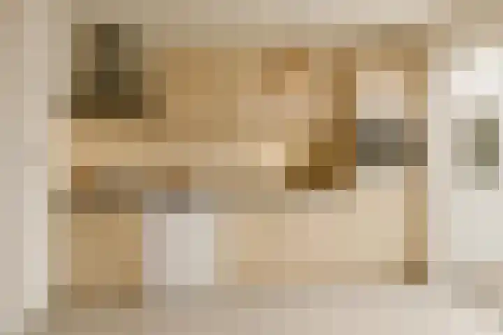 Hoge Dries 1 Alphen thumbnail 12
