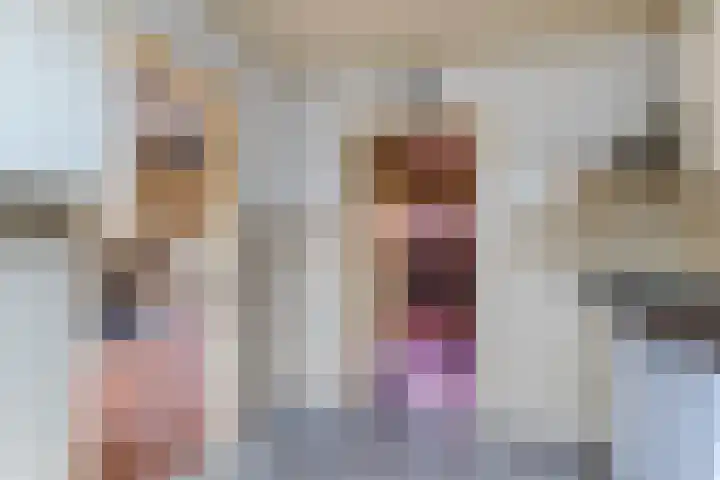 Hoge Dries 1 Alphen thumbnail 14