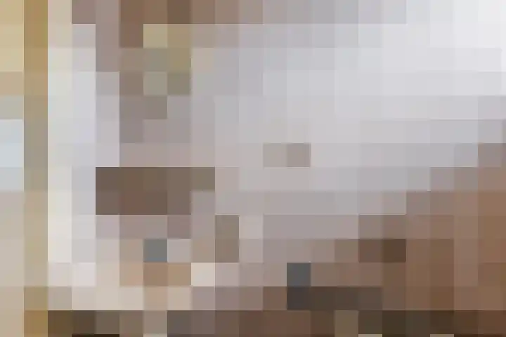 Hoge Dries 1 Alphen thumbnail 25