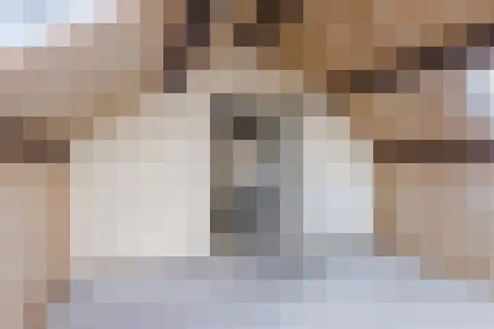 Hoge Dries 1 Alphen thumbnail 29